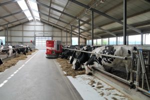 Šiais metais įgyvendinant priemonę ypatingas dėmesys skiriamas pastatų statybai, ypač gyvulininkystės sektoriuje. „Prisipažinsiu – dedu dideles viltis, kad ūkininkai statys karvių fermas“, – sako ministras