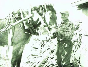 Jonas Sabonis, buvo ruoštas kare tarnauti su arkliais: nuo tada visą gyvenimą jis su arkliais turėjo tik jam suprantamą ryšį