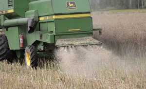 Naujos agroaplinkosaugos veiklos ne tik tausoja aplinką, bet ir papildo žemdirbių pinigines. Ričardo PASILIAUSKO nuotrauka