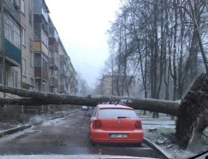 Užvirtus medžiui automobilis liko nepataisomas