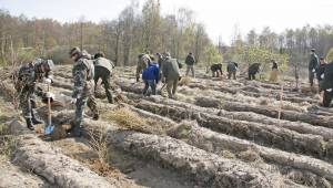 Iki lapkričio 16 dienos užpildę paraiškas pagal KPP priemonės „Investicijos į miško plotų plėtrą ir miškų gyvybingumo gerinimą“ veiklos sritį „Miško veisimas“ pareiškėjai gali pasidalyti 9 283 964 eurus paramos lėšų