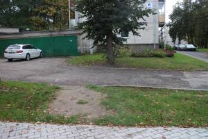 Seniūnas Antanas Šalkauskas žadėjo, kad dar lapkričio mėnesį žmonių išmintas takelis bus padengtas danga