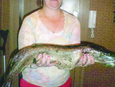 Elektrėnietės laimikis – 4,4 kg lydeka