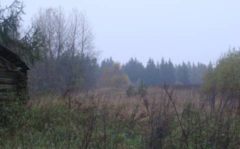 Paramą gali gauti nenaudojamų ar apleistų žemių savininkai