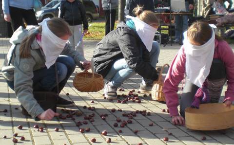 Kaip vieviečiai Rudens šventę šventė