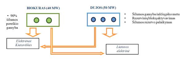 Elektrėnai bus apšildomi biokuru