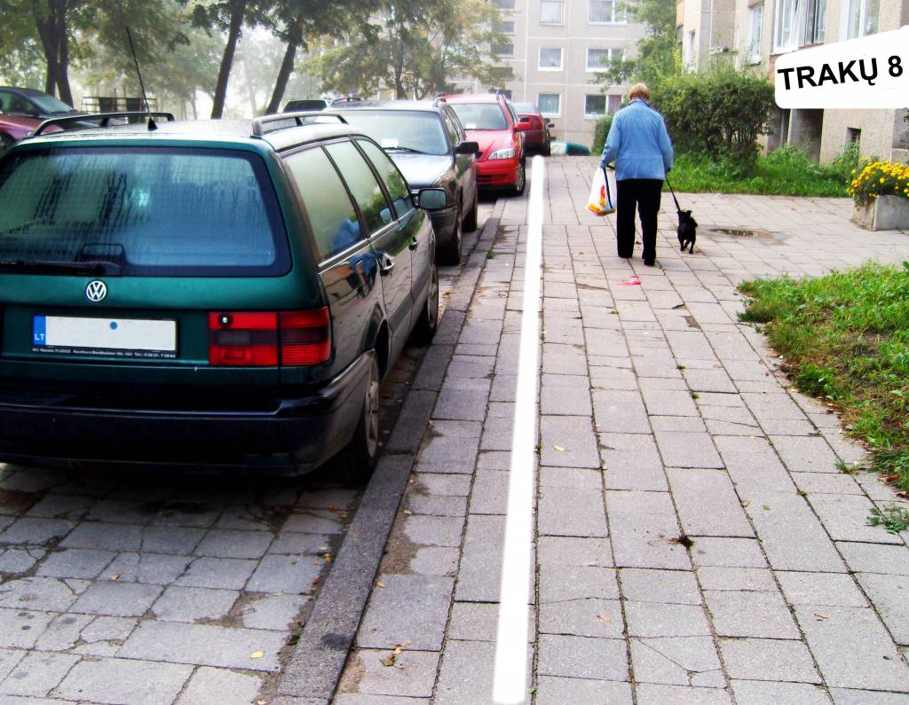 Liaudies balsas. Lauksime dar vienos komisijos