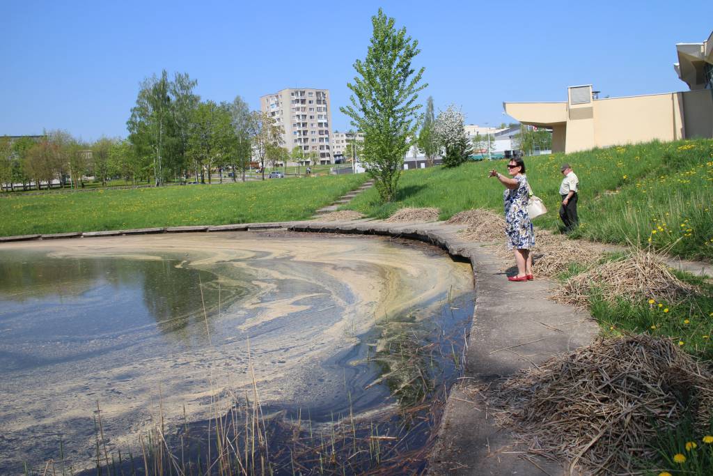 Pavasario ligos gamtoje ir galvose