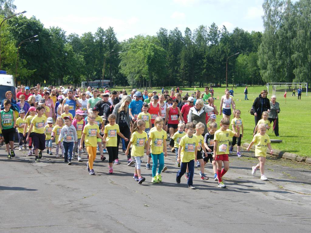Aplink Elektrėnų marias