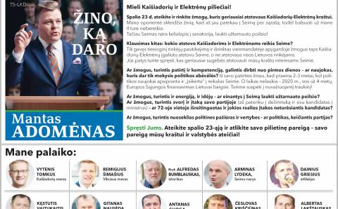 Rinkimai nesibaigė