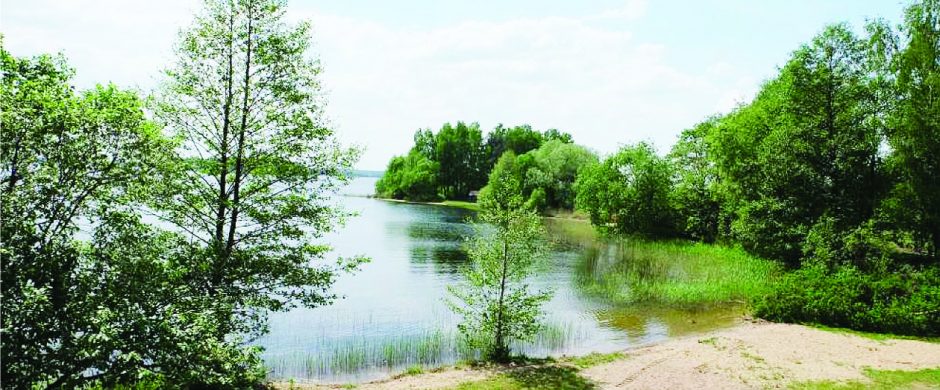 Elektrėnų laukia pokyčiai