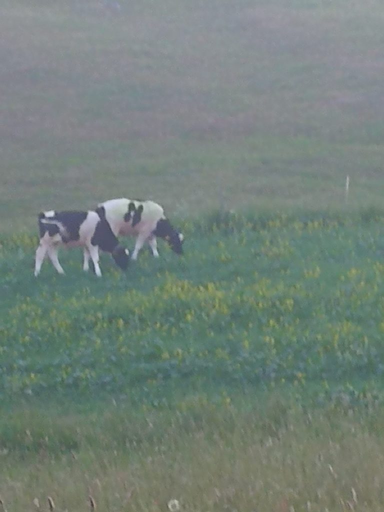 Sarmata kaimui ir seni papročiai