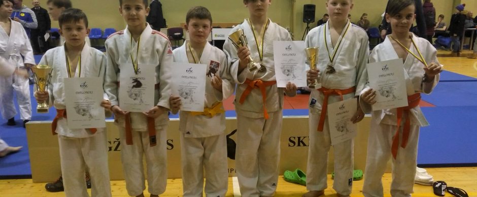 Dziudo sportininkų laimėjimai