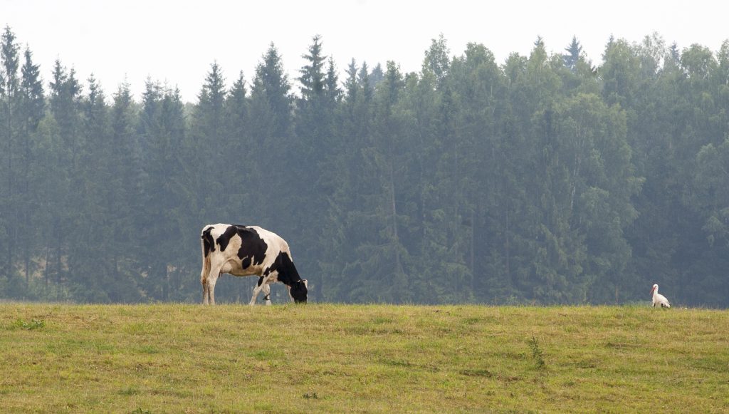 Priemonės „Agrarinė aplinkosauga ir klimatas“ naujovės