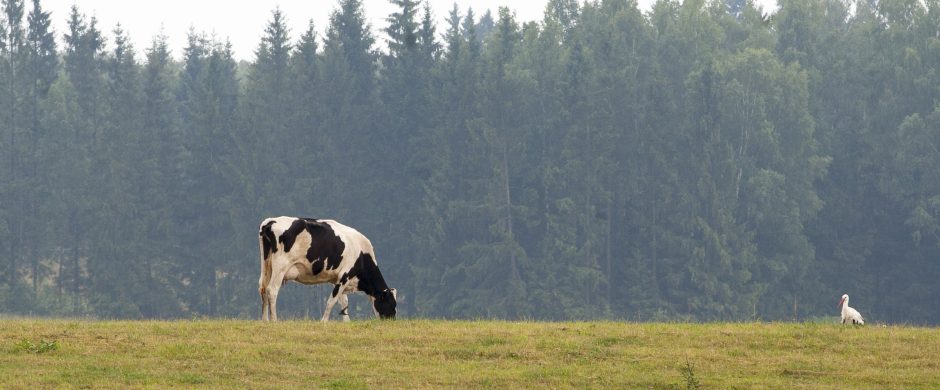 Priemonės „Agrarinė aplinkosauga ir klimatas“ naujovės