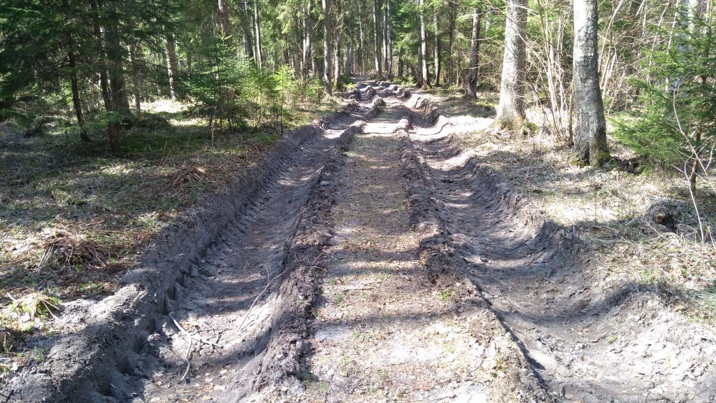 Parama skatina tvarkyti miško kelius