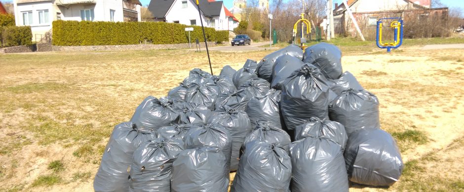 Akcija „Darom“: nuo pasivaikščiojimo gryname ore iki tėviškės miško švarinimo