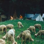 Ala - to stovykla Tian Šanyje, Karakolo tarpeklyje, 2000 m.