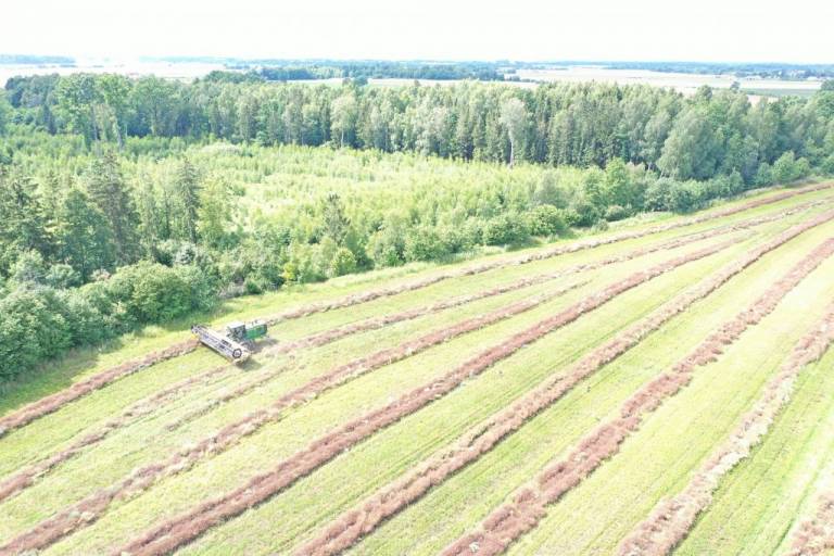 Kartu įsigiję kmynų pjovimo į pradalges kombainą, kooperatyvo nariai gali greitai ir kokybiškai nukulti vaistingąsias sėklas