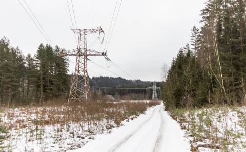 Kai klaidos kaina – žmogaus gyvybė: į ką būtina  atkreipti dėmesį dirbant miške