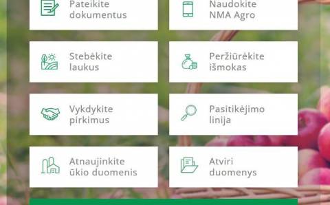 Šiemet paraiškas NMA bus galima pateikti greičiau ir paprasčiau