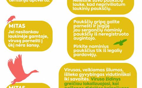 Elektrėnų paplūdimyje rastoms kirų gaišenoms nustatytas paukščių gripas
