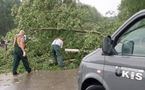 Audra apgadino turtą,  sunaikino šimtametį parką