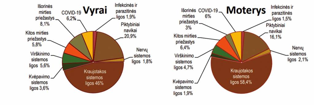 Mirčių priežastys ir  skaičiai