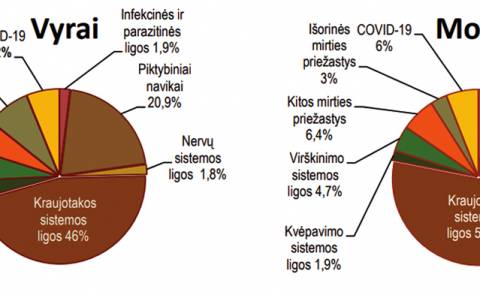 Mirčių priežastys ir  skaičiai