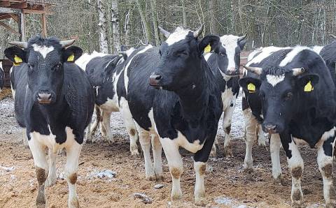 Investicijos į biosaugą padeda valdyti užkrečiamųjų ligų riziką