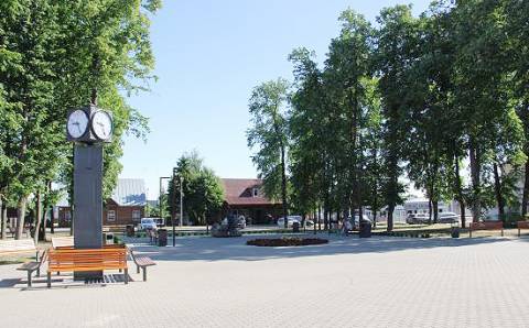 ATLIKTA VIEVIO MIESTE AUGANČIŲ ŽELDYNŲ IR ŽELDINIŲ INVENTORIZACIJA