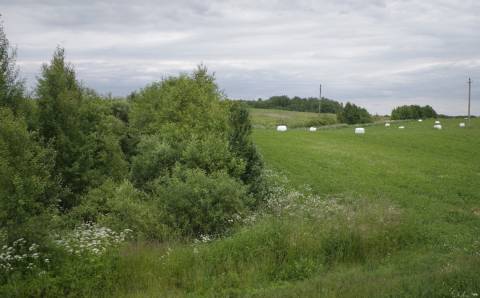 Palanki žinia ūkininkams: visi formalumai suderinti, šįmet daugiamečių pievų atkurti tikrai nereikės