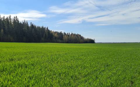 Įsibėgėja pasėlių ir naudmenų deklaravimas – žemdirbiai raginami jo neatidėlioti