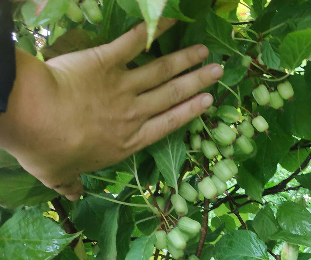 Parama jauniesiems ūkininkams – geriausia investicija