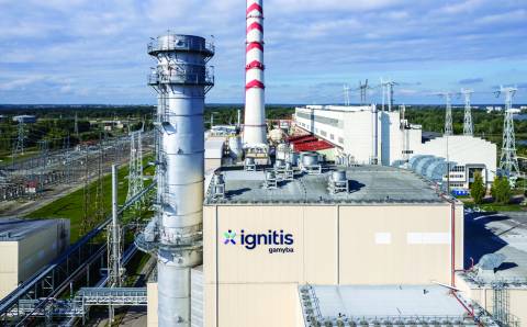 Nacionalinės energetinės nepriklausomybės strategijos projekte: efektyvus energijos vartojimas – vienas iš tvarios ateities pagrindų