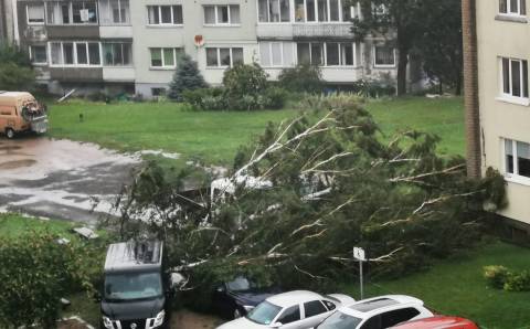 Vėjui nei parkotvarkos, nei eismo taisyklės nerūpi