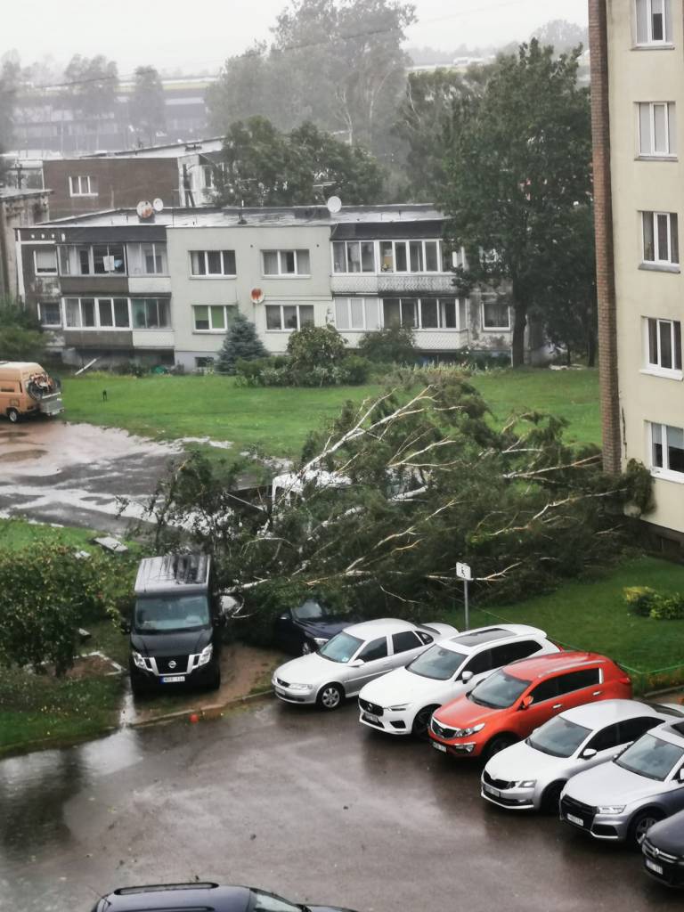 Vėjui nei parkotvarkos, nei eismo taisyklės nerūpi