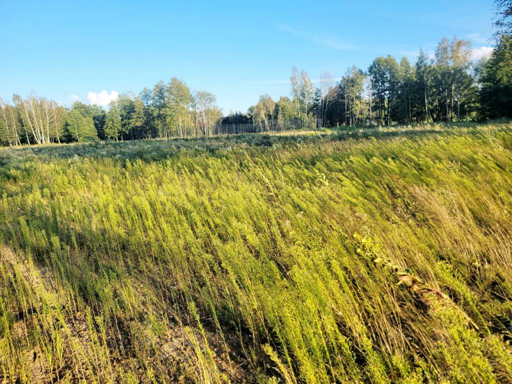 Geibonių sklypuose ramybė užsitęs