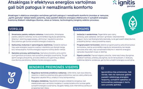 Atsakingas ir efektyvus energijos vartojimas gali būti patogus ir nemažinantis komforto