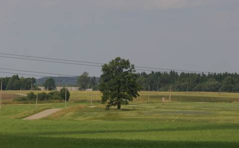 Laukus tręšiantiems tik mėšlu ir (ar) srutomis tręšimo planų nereikia