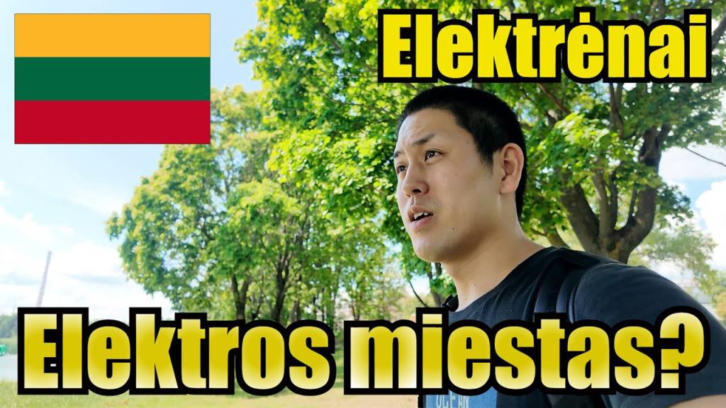 Elektrėnai nevietinių akimis