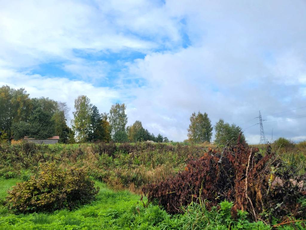 Kai žemė niekieno, tai ji gali būti apleista, ir baudų nėra kam išrašyti
