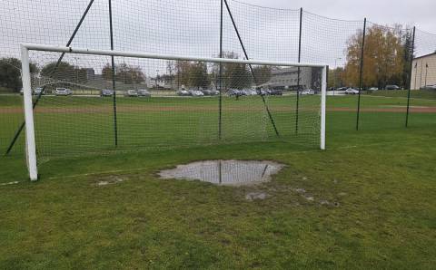 Balas stadione keis dirbtinės žolės danga