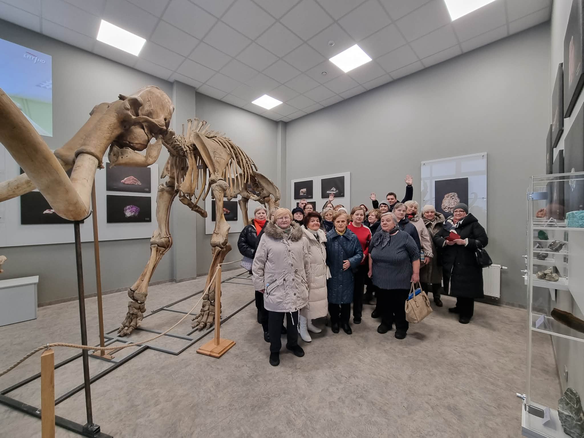 Pažintis su ledynmečio paslaptimis Vievyje: mamutas „Goša“ ir Vilniaus mamuto kaulai