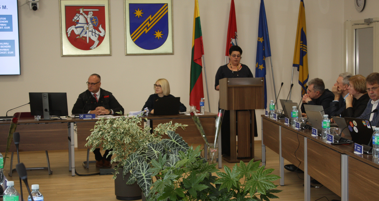 Darbų atspindys ataskaitose